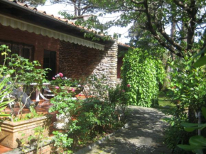 Отель Villa Feltran  Форте Дей Марми